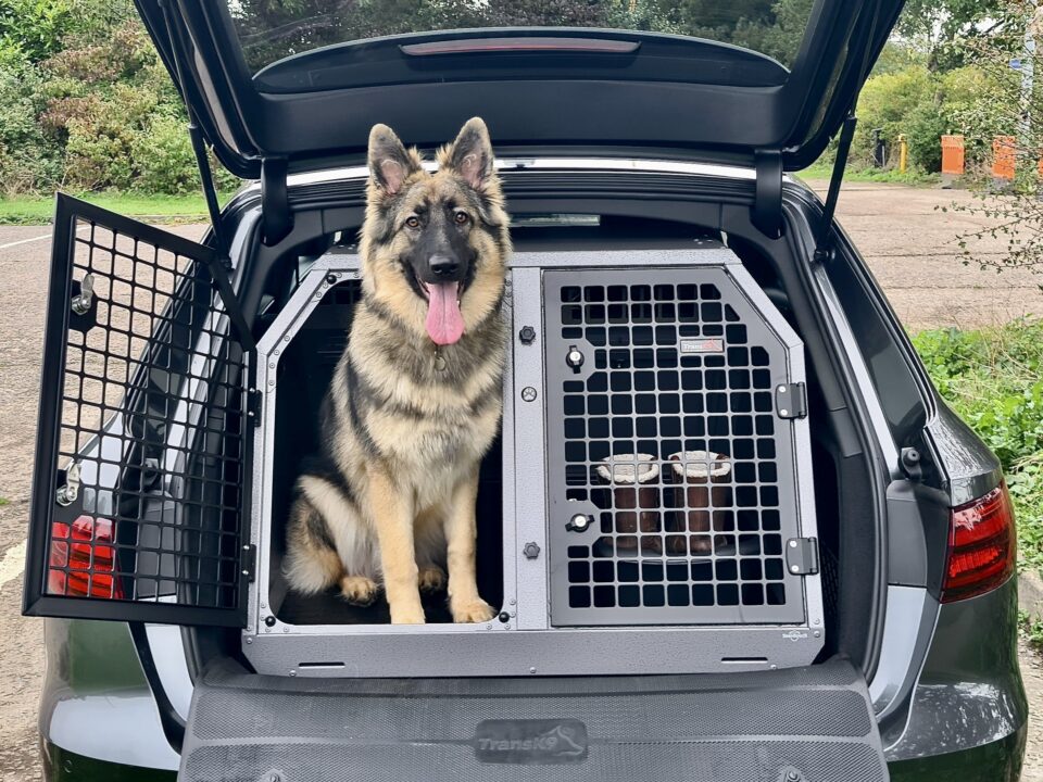 TransK9 C2 German Shepherd Dog Cage | Dog Crate | Dog Box