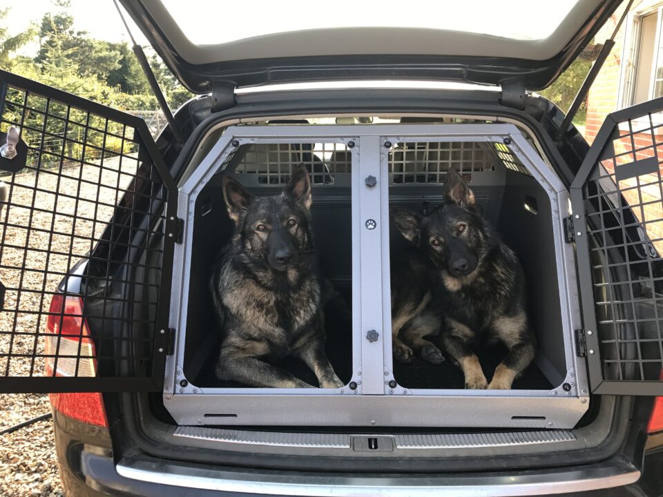 TransK9 C2 German Shepherds Dog Cage | Dog Crate | Dog Box
