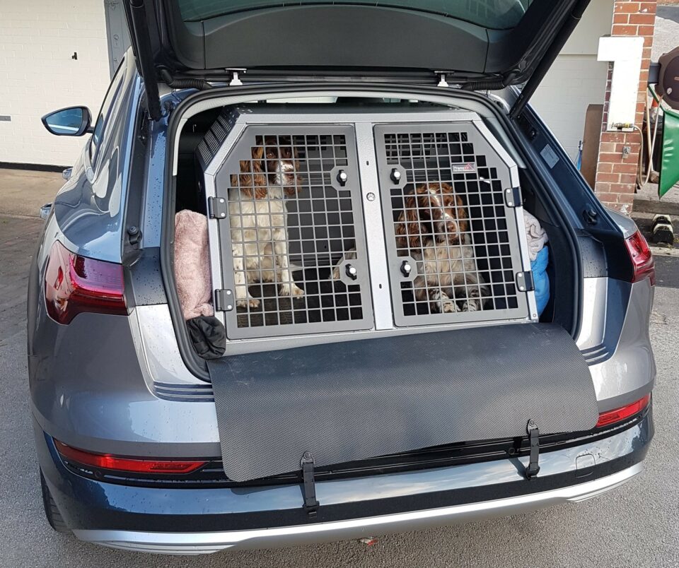 TransK9 C2 English Springers Dog Cage | Dog Crate | Dog Box